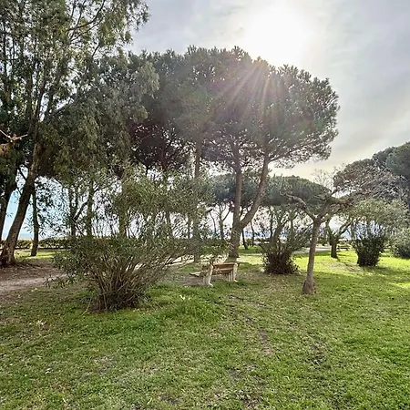 4 Couchages Sur Ar600-005 Argelès-sur-Mer